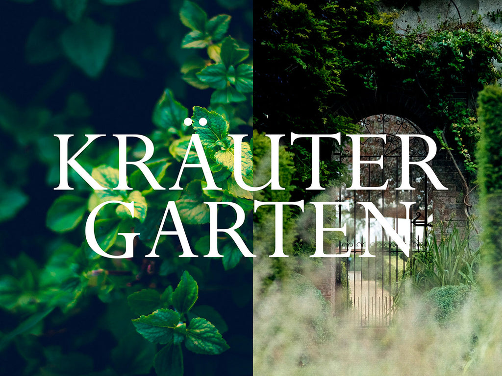 Marinade Typ Kräutergarten